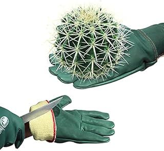 SAFTA Cut Resistant Gloves, Kevlar lining gloves Level 5 Protection, Thorn proof Gardening Gloves, Stab Proof Gloves for Handling Sharp Objects in Butcher | Mechanic | Industrial Work.(One Pair,M)