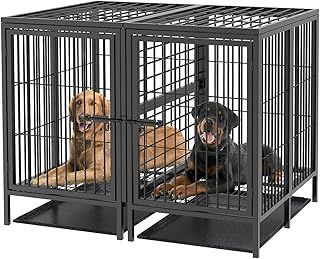BingoPaw giant Dog Crate with Divider: 52inch Extra Large Heavy Duty Metal Pet Cage with Removable Divider Panel - Indoor Higher Inner Space Doggy Playpen Kennel with Two Doors and Trays for 2 Dogs