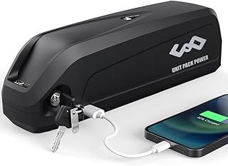 Ebike Battery 48v 15AH with Charger, USB Port, Lithium Electric Bike Battery for 1000W 750W 500W 250W Motor, ebike conversion kit