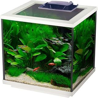 Interpet Aqua Cube Glass Fish Tank Aquarium with Integrated LED Lighting and Easy Care Filter, 28L, Clear/White