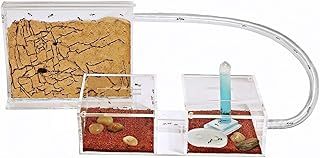 AntHouse - Natural Sand Ant Farm | Mini Kit (Sandwich + Forage Box)