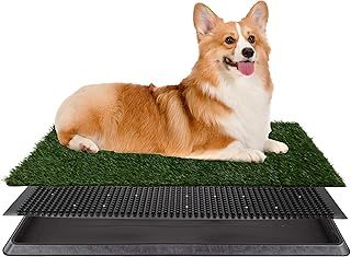 Artificial Grass Puppy Pee Pad for Dogs and Small Pets - 20x25 Reusable 3-Layer Training Potty Pad with Tray - Dog Housebreaking Supplies by PETMAKER, Green