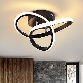 LED Ceiling Light Interweave Modern Creative White Black Ceiling Lamp for Hallway Office Unusual Lamps Bedroom Kitchen Living Room LED Ceiling Light Warm White 22W 25cm (Black)