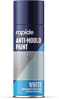 Rapide Anti Mould Spray Paint, 400 ml