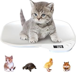 Pet Scales for Small Animals, Puppy Scales,Digital LCD Cat Scale,Mini Dog Weighing with 4 Weighing Modes(kg/oz/lb/ml) for Small Cat,Dog,Hamster,Food,Kitchen (36x26 cm/14x10.2 in max:15KG)