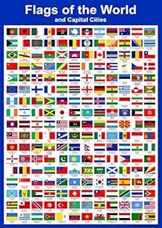 Wisdom Learning Flags of The World Poster - Countries Wall Chart Educational Childrens Childs Poster Art Print WallChart world flags
