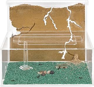 AntHouse - Natural sand ant farm - Model L (sandwich + feed box)