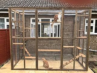 4 Wire Catio/Cat Lean to 8ft x 6ft x 7.5ft tall with ladders and shelves secure run 1" x 1"