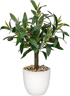 Hollyone 37CM Artificial Olive Plant in Pot, Fake Olive Potted Plant Artificial Plant, Decorative Faux Greenery with White Pot for Home Decor, Bathroom, Living Room, Kitchen, Shelf, Table Decorations